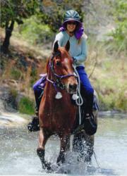 Eppisode trail horse relies on Dynamite for horse nutrition.